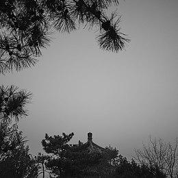 精灵冒险再度展开 传言称《奥日3》正在开发中